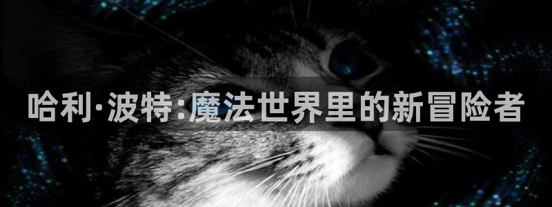 91动漫下载app：哈利·波特:魔法世界里的新冒险者